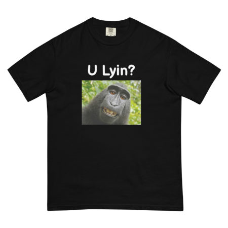 U Lyin? Tee